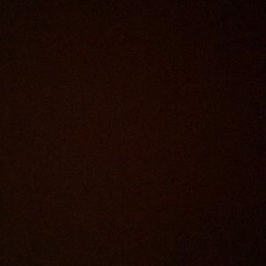 Meet your Posher, Sammy